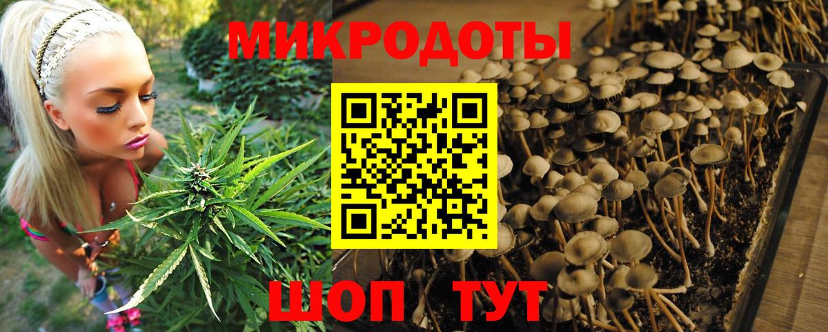 Галлюциногенные грибы GOLDEN TEACHER  Псилоцибиновые грибы Psilocybe  Вход с VPN  Волгоград 